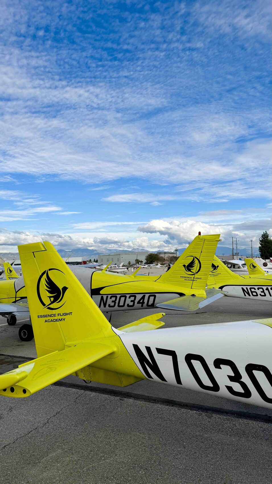 Light sport training aircraft for the Sport Pilot License course at Van Nuys Airport