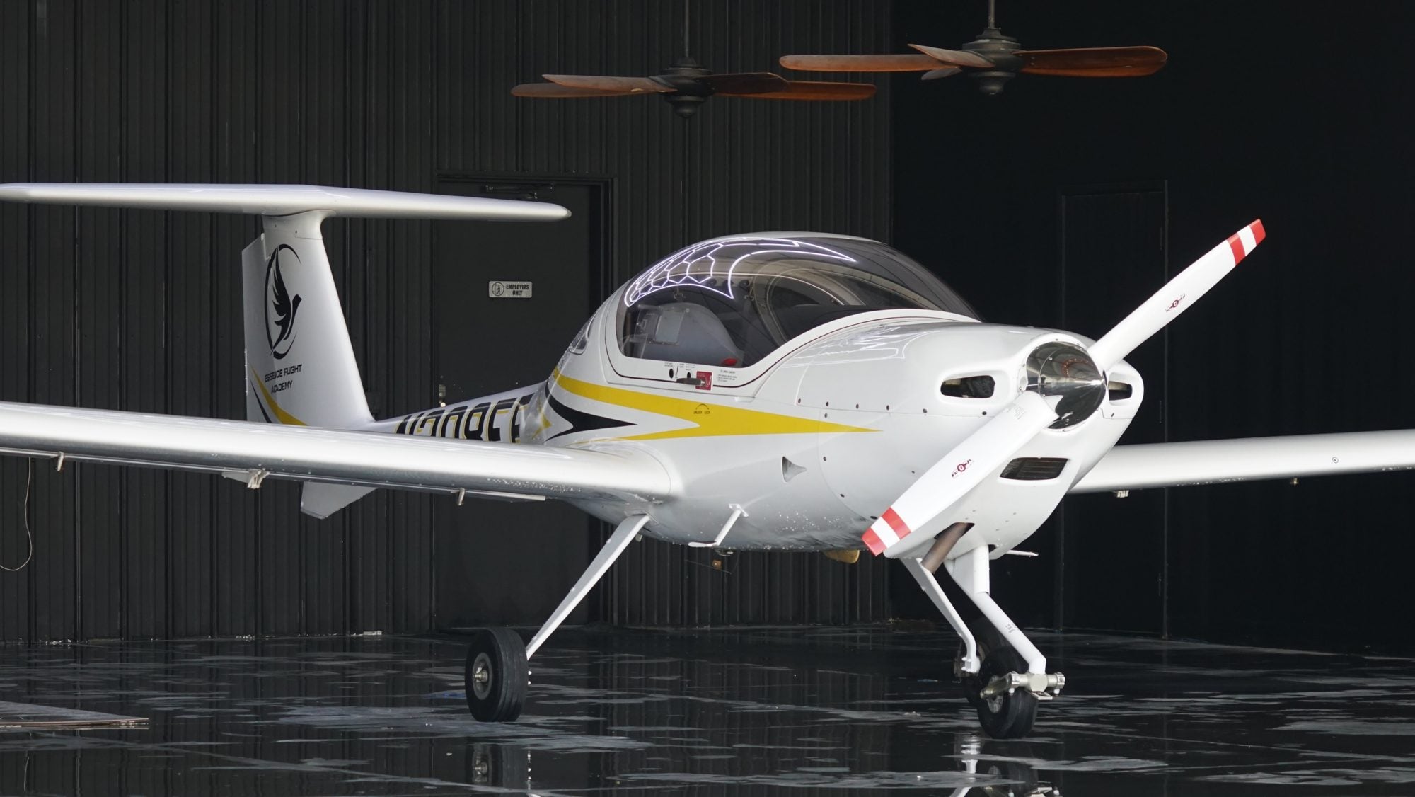 Glass-cockpit training aircraft for a discovery flight for two — Van Nuys Airport